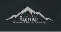 Rainier Window, Moss Removal Woodinville