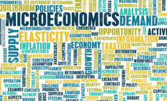 Don't Miss Out: Christmas Discount for Microeconomics Assignment Assistance at BookMyEssay