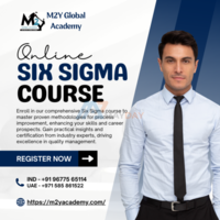 Six Sigma Online Course | Quality Management Training